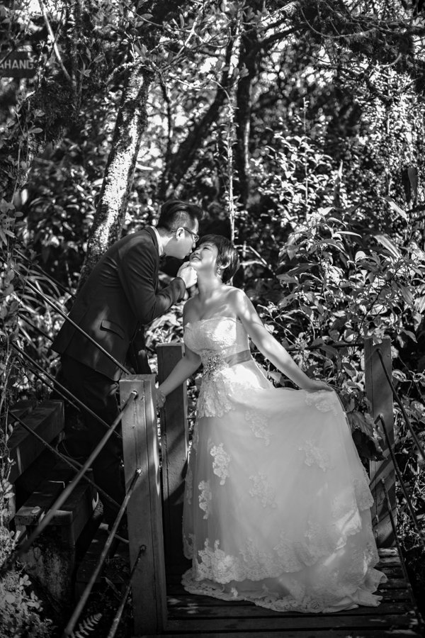 pre-wedding-at-cameron-highlands-7312